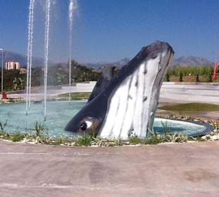 Ausflug Röhren Aquarium