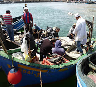 Fischerboote bringen frischen Fisch