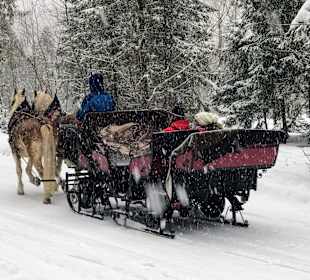 Romantisch in der Pferdekutsche