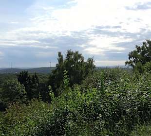 Birkenkopf