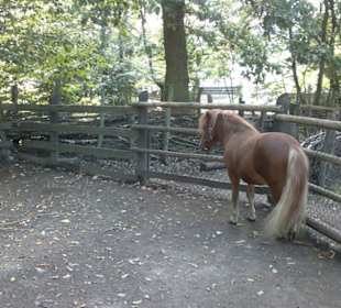 Zoo Brno