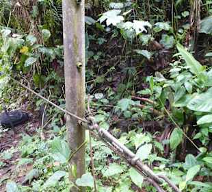 Was würde wohl der deutsche Tüv sagen