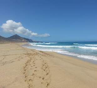 Strand bei Cofete