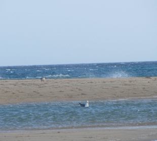 Strand in Risco del Paso