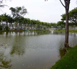 Kleiner See im Park neben dem See