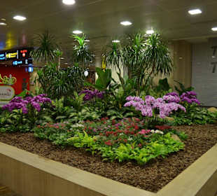 Flughafen Singapur Changi (SIN)