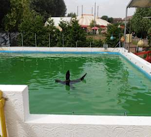 Wasserkünstler