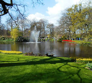 Blumenpracht im Keukenhof