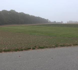 Erlebnisbauernhof und Wildgehege