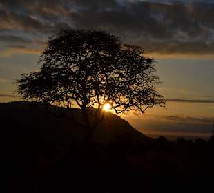 Tsavo East, früh am Morgen