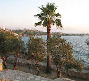 Blick zum Ladies Beach