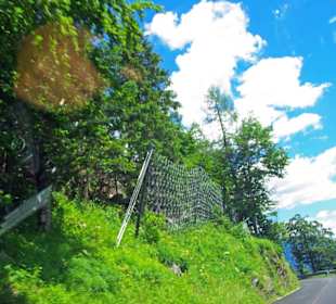 Schutzzäune an einigen Stellen