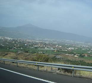 Orotava Tal
