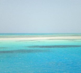 Weiße Insel ras Mohamed 