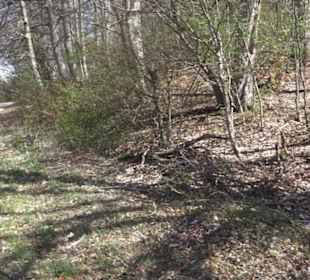 Wanderweg Hochgehkämpft