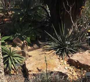 Botanischer Garten der Universität Zürich