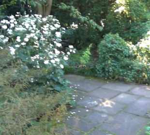 Berggarten