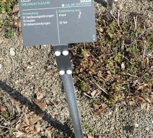 Hinweistafel zum eingepflanzten Kraut