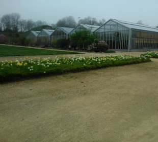 Aussenanlage mit Treibhäusern