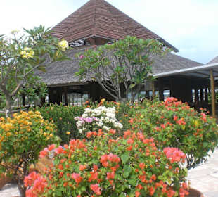 Terminal