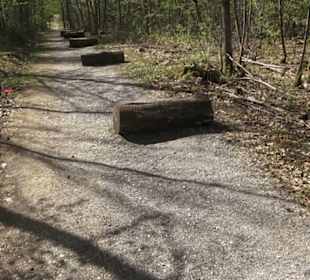 Waldsportpfad im Wasenwald