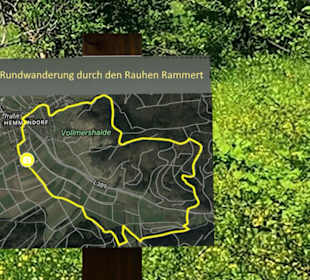 Rundwanderung durch den Rauhen Rammert