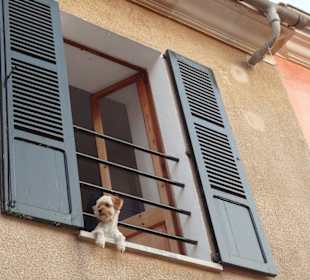 People-watcher in einem Altstadtgässchen