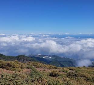 Über den Wolken