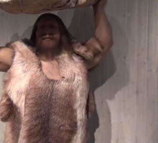 Neanderthal Museum