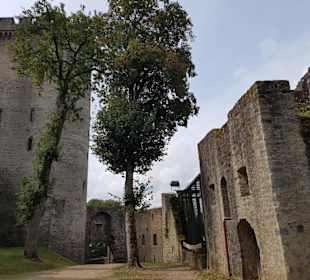 Die Greifvögel sind in der Burg untergebracht
