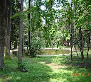 Parcul Central Vatra Dornei