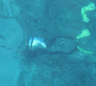 Taucher in 9m Tiefe - klare Sicht