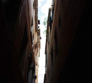 Tolles Bild wie ich finde