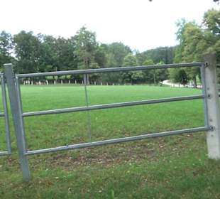 Haupt- und Landgestüt Marbach