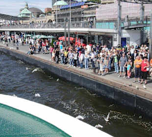 Hadag  Linie 62 - auf dem Weg zum Elbstrand