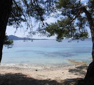 Mit Delfin Negro in der Playa de Formentor