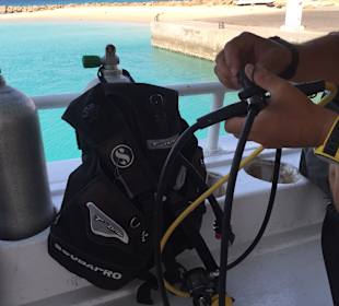 ORCA Dive Club Soma Bay 