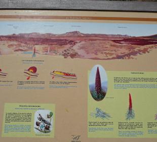 Info über Vulkanlandschaft