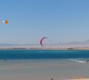 Von der Dachterrasse des Kitehouses