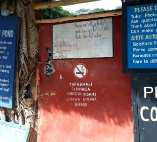 Mnarani Marine Schildkröten Conservation