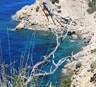 Wanderung nach Sant Elm