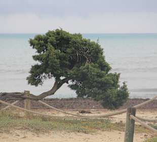 Blick von der Promenade aufs Meer