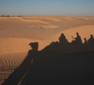 Kamelritt in Sahara