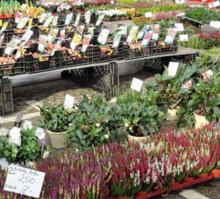 Rundgang über den Wochenmarkt Pferdemarkt