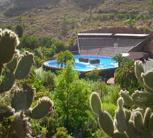 Kakteen mit Blick zum Delphinarium