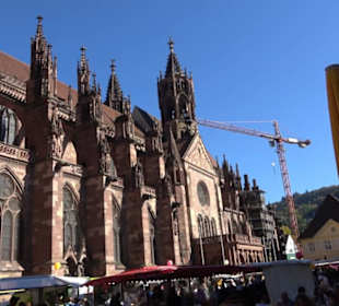 Freiburger Münster