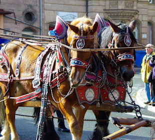 Erntedankfestzug 2012 Fürth