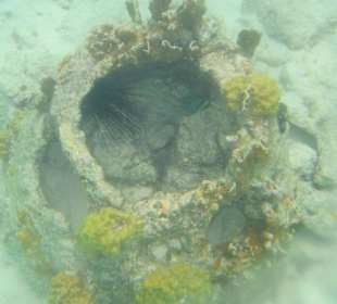 Versenkte Betonklötze