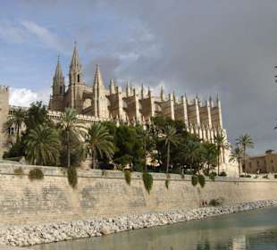 Palma