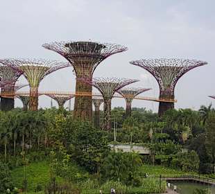 Gardens by the Bay